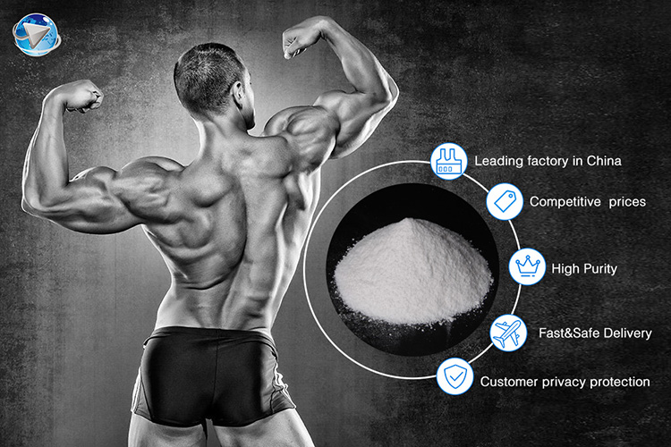 The most comprehensive steroid category introduction